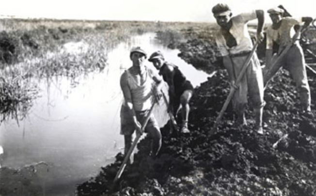 Draining swamps in the Galilee in the 1020s- jnf.co.uk