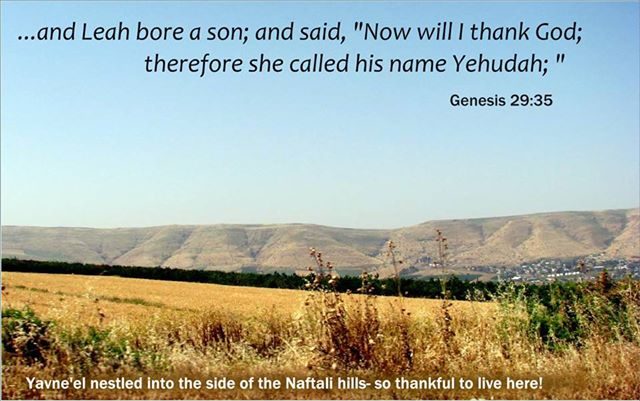 Yehuda's Name