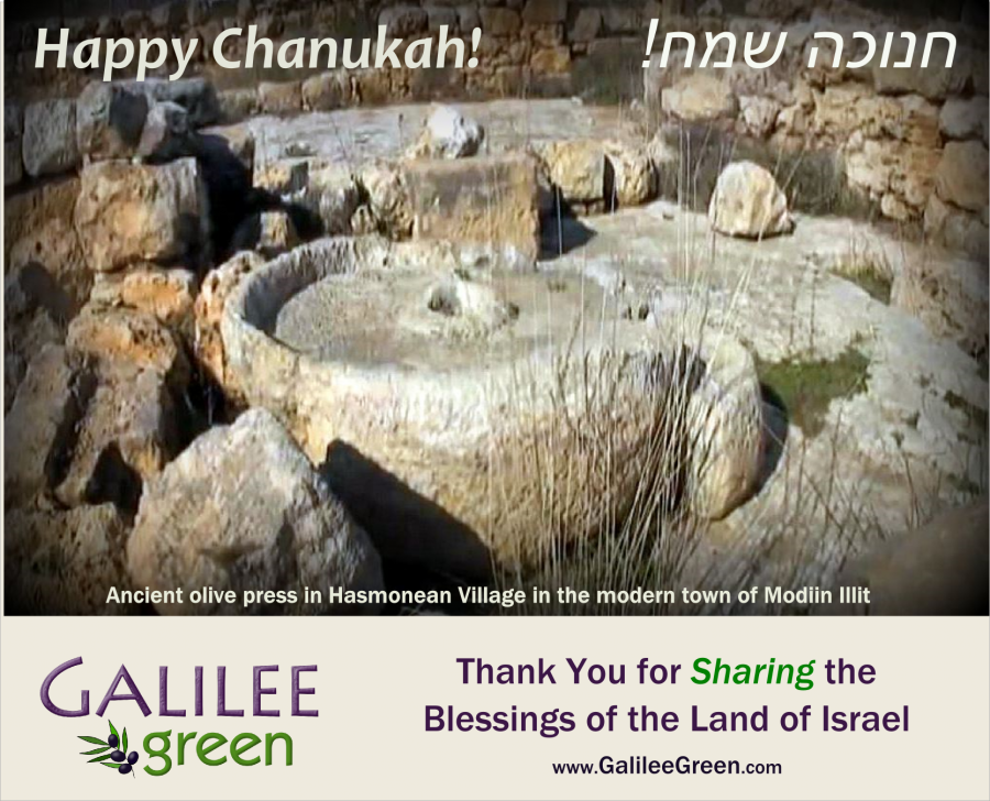 Ancient Olive Press near the Maccabees Town Galilee Green