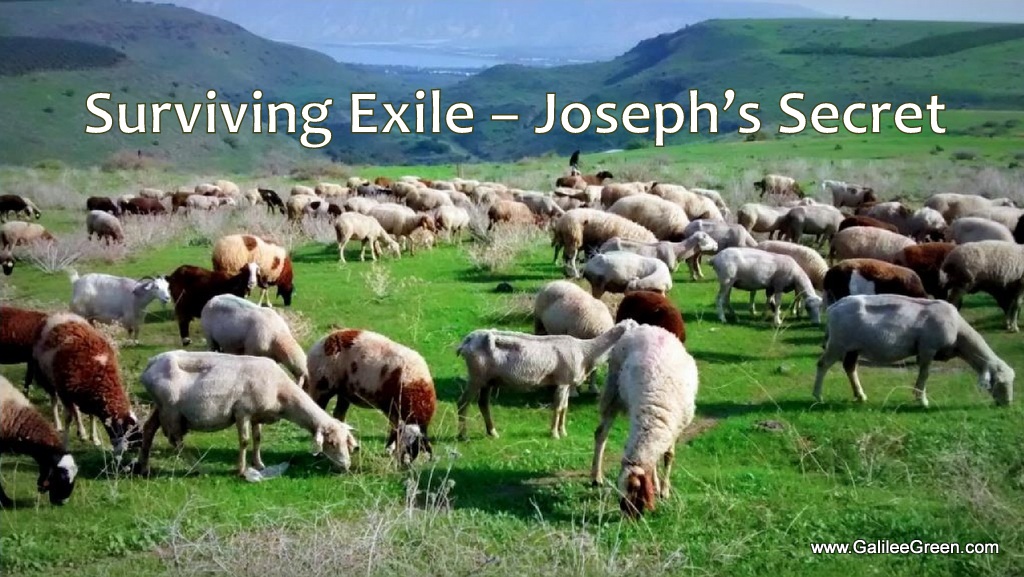 Surviving Exile - Joseph's Secret