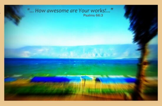 Beautiful Israel: At the Kinneret