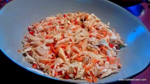 Oriental summer safe easy Cole Slaw recipe
