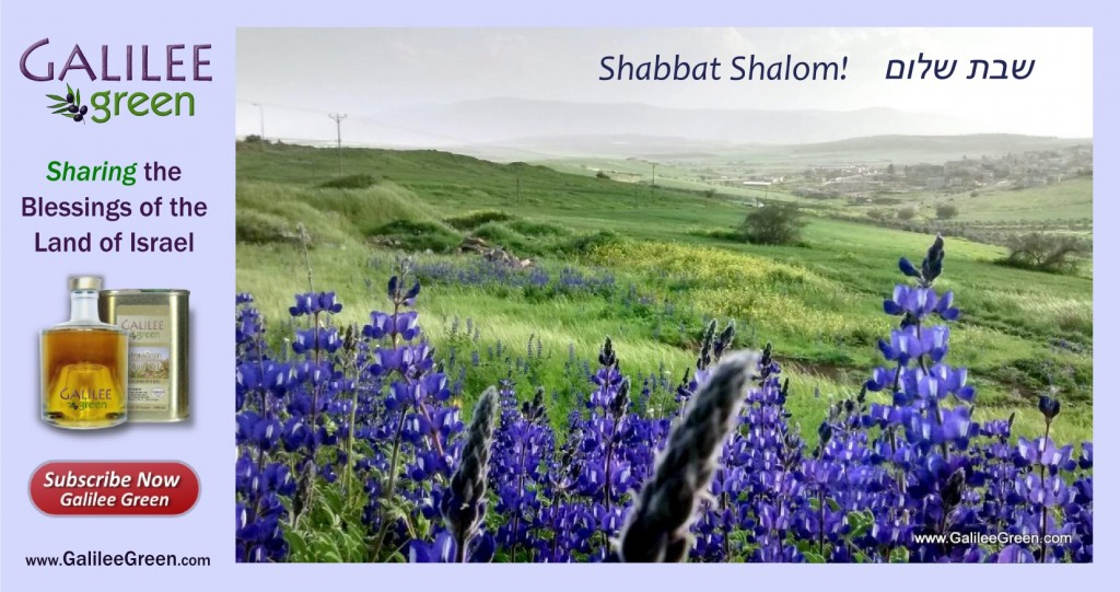 ilsg-shabbat-blue