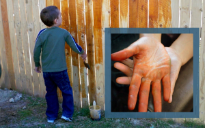 staining the fence