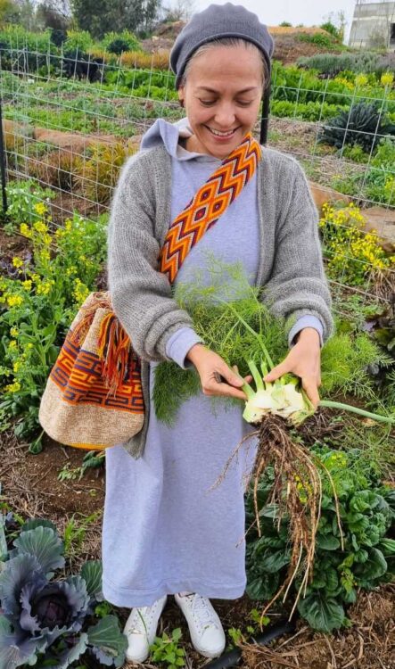 picking fresh fennel for fennel salad