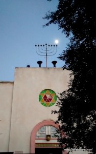 1-shul with moon - pin