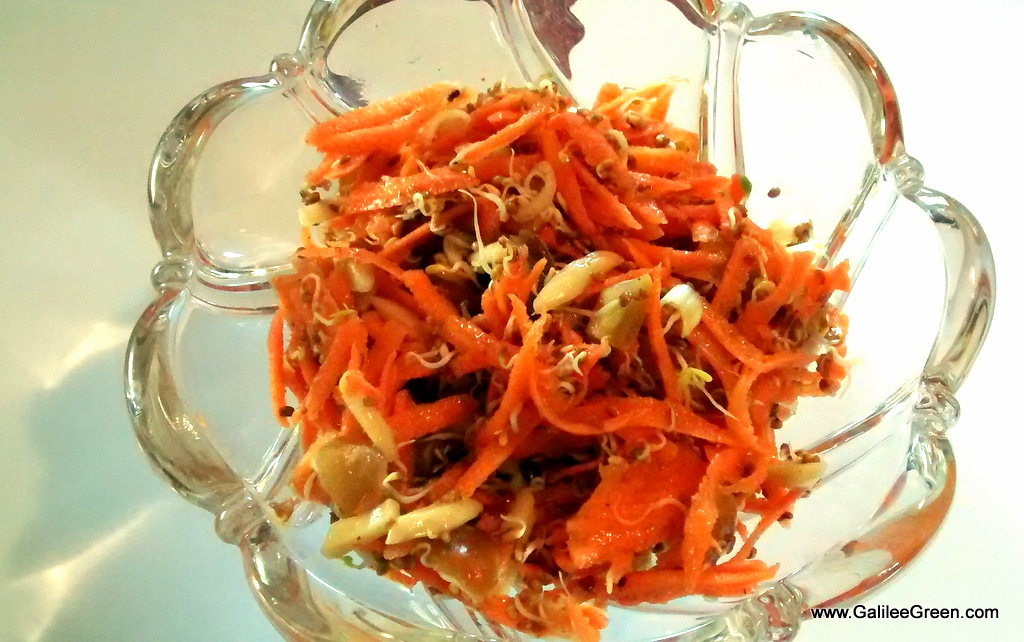 Carrot Sprout Salad