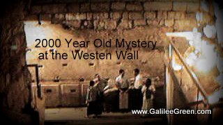 Western Wall Ston