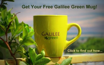 free Galilee Green Mug