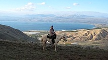 Israeli cowboy