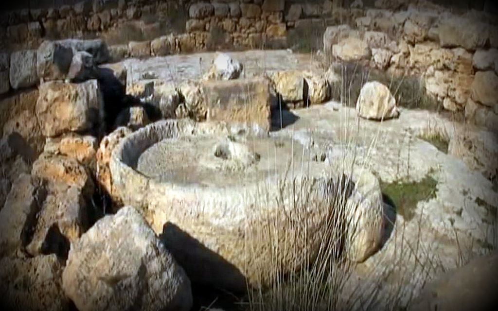 Ancient Olive Press