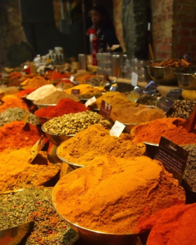 Spices of the world