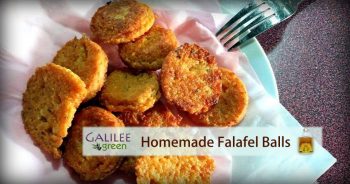 Israeli Homemade Falafel Balls Galilee Green