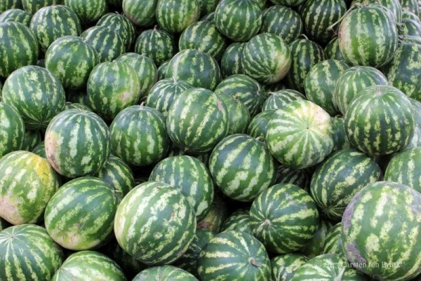 Watermelons in the Market