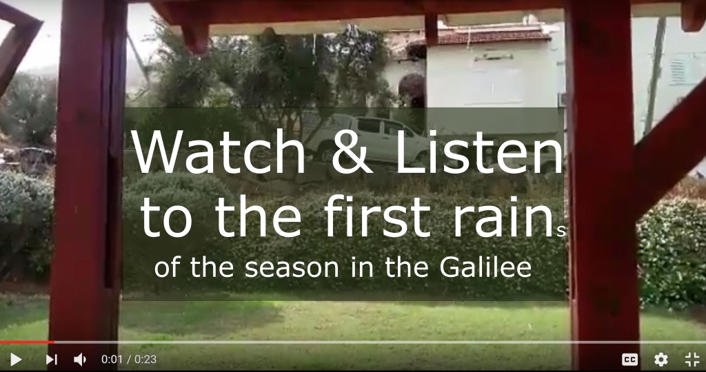 First rain in the Galilee