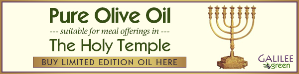 Temple Olive Oil