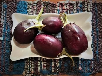 Israeli Eggplant