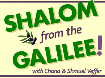 Shalom from the Galilee