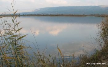 Israel Hula Valley