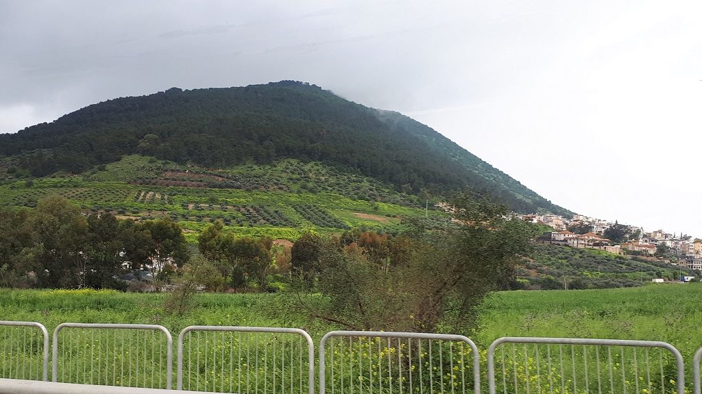 Green Mount Tabor in the Jezreel Valley | Galilee Green